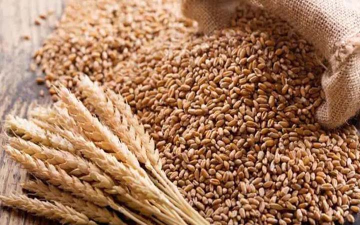 ভারত বাংলাদেশে ‘৬ লাখ টন গম রপ্তানি করবে